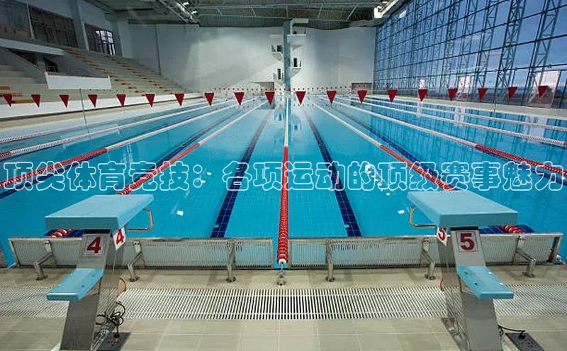 顶尖体育竞技：各项运动的顶级赛事魅力