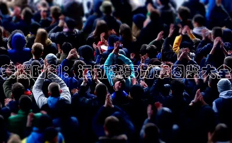 荣耀时刻：运动赛事勋章图鉴大全