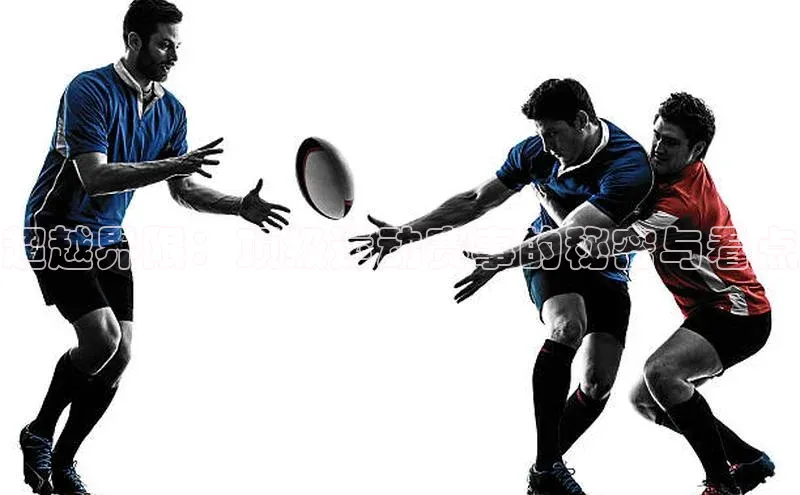 超越界限：顶级运动赛事的秘密与看点