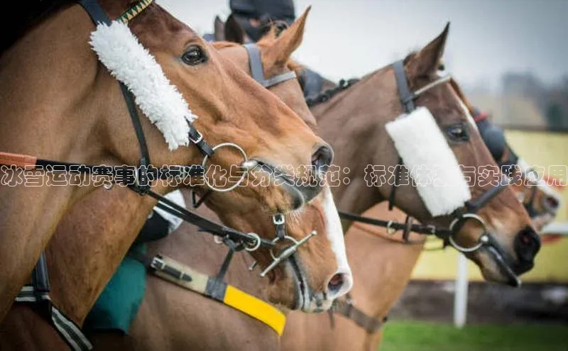 冰雪运动赛事的标准化与分类规范：标准体系与实践应用
