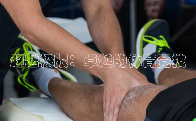 超越极限：卓越的体育竞技