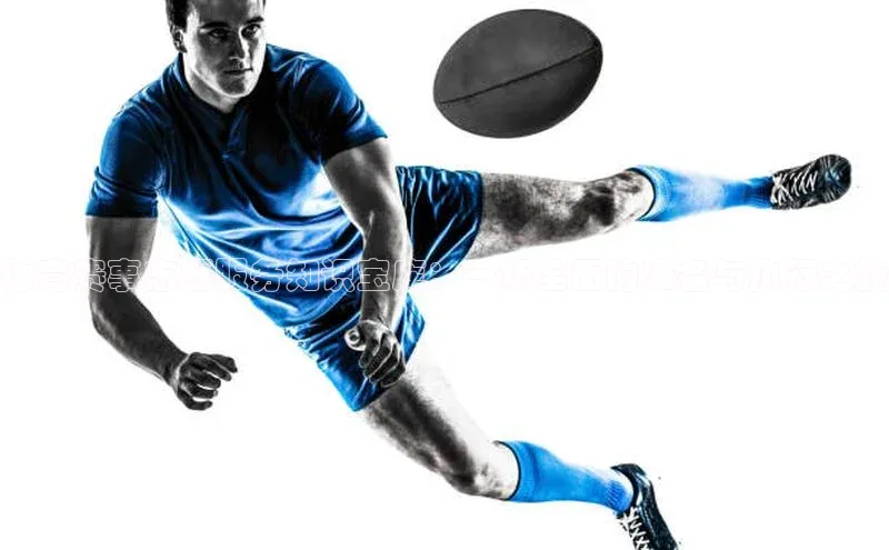 体育赛事志愿服务知识宝库：一场全面的准备与执行之旅