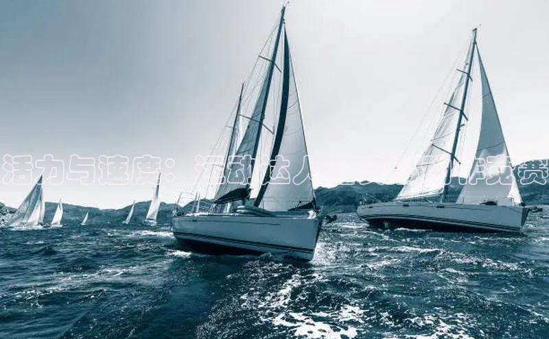 活力与速度：运动达人组赛事动作竞赛