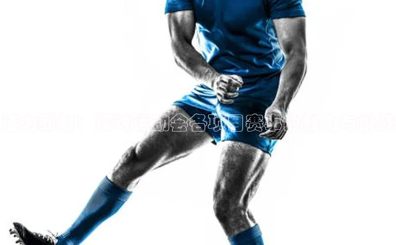 活力四射：探讨运动会各项目赛事的魅力与挑战