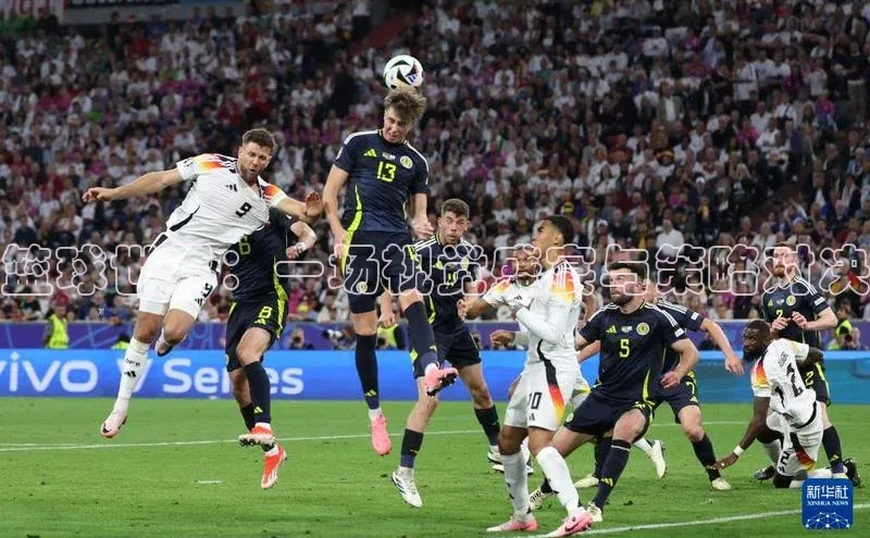 篮球世界：一场视觉盛宴与策略对决