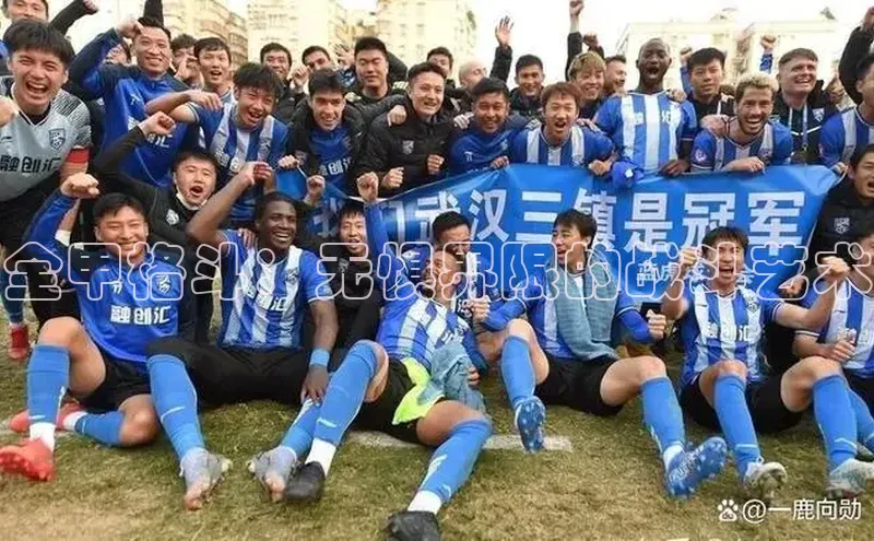 全甲格斗：无惧界限的战斗艺术