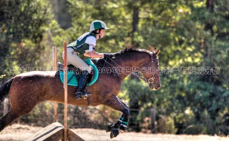 全球视野下的奥运精神：2024年巴黎奥运会筹备与影响分析