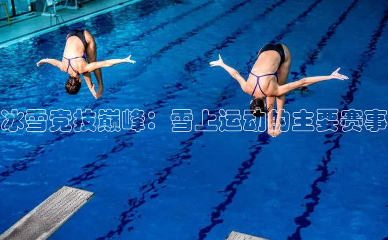 MK体育官方网站入口