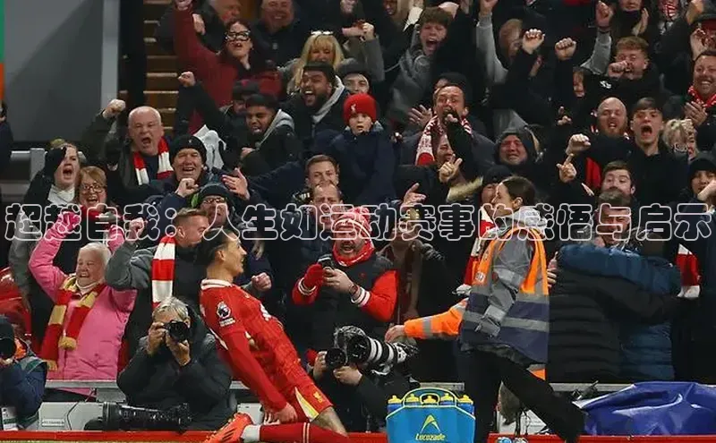 MKsport官网下载入口