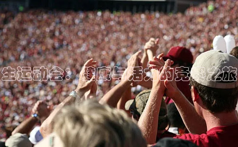 mk·体育官方网站