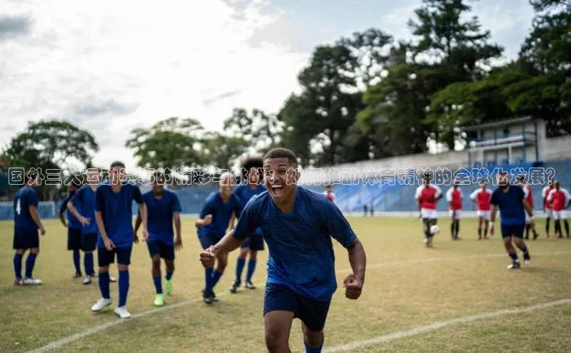 国外三大运动赛事的精彩与挑战：如何推动体育精神的全球化发展？