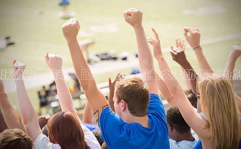 MK体育官方网站入口